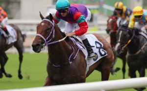 Lightness Of Music bolts in on debut for Zac Purton in June. Photos: Kenneth Chan