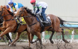 Light Years Charm (right) wins his trial at Sha Tin on Tuesday morning. Photos: Kenneth Chan