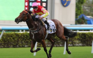 My Wish takes out last weekend’s Group Three Celebration Cup (1,400m) under Luke Ferraris. Photo: Kenneth Chan