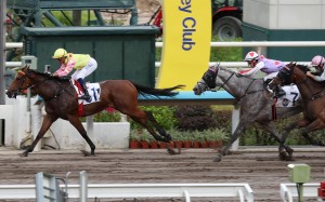 Sing Dragon leads home a Mark Newnham trifecta ahead of Talents Ambition and Mojave Desert. Photos: Kenneth Chan