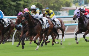 Fight Time wins at Sha Tin last month under Britney Wong. Photos: Kenneth Chan