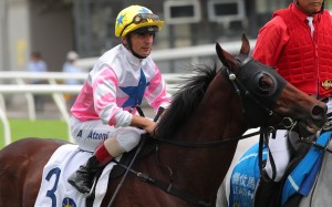 Andrea Atzeni will have his second crack at the Caulfield Cup when he rides Meydaan on Saturday. Photos: Kenneth Chan