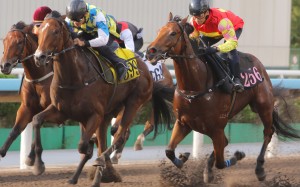 Alexis Badel guides My Wish (centre) to victory in a dirt trial last week. Photos: Kenneth Chan