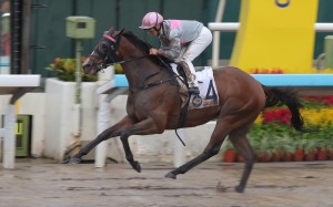 Mojave Desert bolts in on the dirt under Andrea Atzeni. Photos: Kenneth Chan