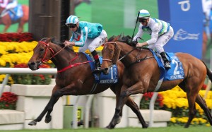 Romantic Warrior (inside) edges Voyage Bubble in last year’s epic Group One Gold Cup. Photos: Kenneth Chan