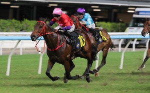 Hollie Doyle delivers aboard Run Run Smart at Happy Valley. Photos: Kenneth Chan