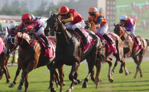 Encountered wins the Group Three Sa Sa Ladies’ Purse (1,800m) under Karis Teetan. Photos: Kenneth Chan