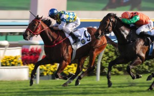 Patch Of Stars fends off Invincible Shield to score at Sha Tin. Photos: Kenneth Chan