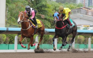 Lucky Sweynesse (right) finishes second to Beauty Waves in a dirt trial last week. Photos: Kenneth Chan