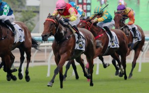 My Wish snares last month’s Group Two Sha Tin Trophy (1,600m). Photos: Kenneth Chan