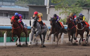 Public Attention (grey) trials at Sha Tin. Photos: Kenneth Chan