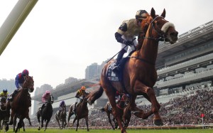 Giavellotto wins last year’s Group One Hong Kong Vase (2,400m). Photos: Kenneth Chan