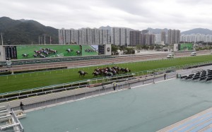 Packing Glory salutes in front of empty stands at Sha Tin on Sunday. Photos: Kenneth Chan
