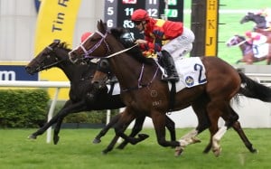 Hong Lok Golf gets up in the nick of time at Sha Tin. Photos: Kenneth Chan