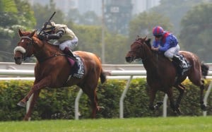 Dubai Honour finishes second to Giavellotto in last year’s Hong Kong Vase. Photos: Kenneth Chan