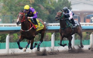 Helios Express (left) trials at Sha Tin on Thursday morning. Photos: Kenneth Chan