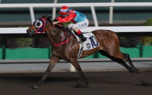 Cheer For South wins at Sha Tin in March. Photos: Kenneth Chan