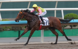 Karis Teetan boots home Sing Dragon on the dirt in October. Photos: Kenneth Chan