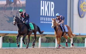 Al Riffa (left) and Galen gallop at Sha Tin. Photos: Kenneth Chan