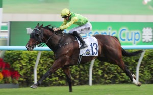 Tomodachi Kokoroe has made a remarkable rise from winning in Far North Queensland to Sha Tin. Photo: Kenneth Chan