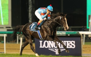 Christophe Lemaire is hoping to carry the Silk Racing colours to victory at Sha Tin this weekend. Photos: Kenneth Chan