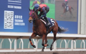 Embroidery gallops on the Sha Tin dirt earlier this week. Photos: Kenneth Chan