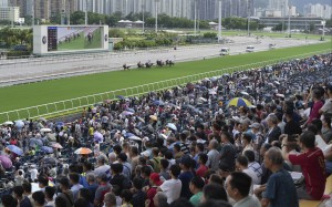 Sha Tin will be heaving on Sunday. Photo: Kenneth Chan