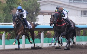 Winfield (left) trials at Sha Tin. Photos: Kenneth Chan