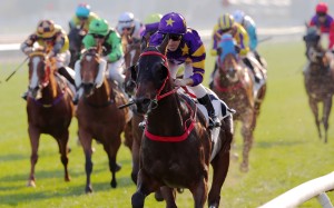 Andrea Atzeni and Stellar Express win at Sha Tin. Photos: Kenneth Chan