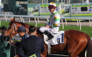 Zac Purton and Sagacious Life after their win this month. Photos: Kenneth Chan