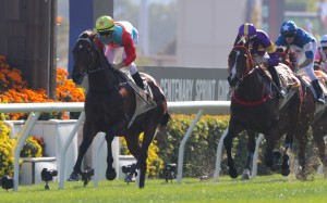 Ka Ying Rising wins at Sha Tin. Photos: Kenneth Chan