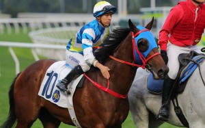 Matthew Chadwick gives Patch Of Cosmo a pat after his Sha Tin victory last March. Photos: Kenneth Chan