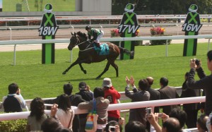 Silent Witness inspired Hong Kong during the dark days of Sars, putting on a streak of remarkable performances. Photo: SCMP