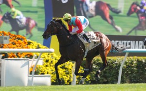 Ka Ying Rising cruises to victory under Zac Purton in the Group One Centenary Sprint Cup. Photos: Kenneth Chan