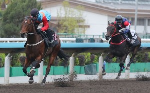 Ka Ying Rising wins a barrier trial at Sha Tin. Photos: Kenneth Chan
