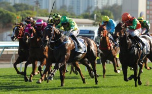 Sky Trust sticks his neck out at Sha Tin. Photos: Kenneth Chan