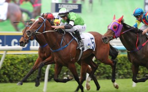Audacious Pursuit (green) wins at Sha Tin in November. Photos: Kenneth Chan