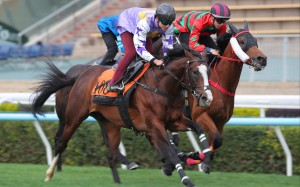 Seraph Gabriel in action in a recent Sha Tin trial. Photos: Kenneth Chan