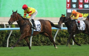 Hot Delight leaves his rivals stranded at Sha Tin. Photos: Kenneth Chan