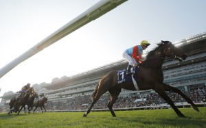 Ka Ying Rising surges clear to win the Queen’s Silver Jubilee Cup. Photos: Kenneth Chan