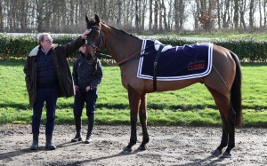 Harry Redknapp and his horse The Jukebox Man, who is vying to be the favourite at the Cheltenham Gold Cup. Photo: AFP