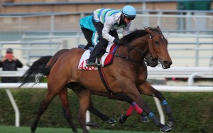 Voyage Bubble fends off Romantic Warrior to win a Sha Tin trial last week. Photos: Kenneth Chan
