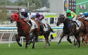Fast Network runs riot at Sha Tin. Photos: Kenneth Chan