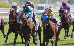 Turquoise Velocity ridden by Keith Yeung dead-heating with We Are Hero ridden by Jerry Chau. Photos: Kenneth Chan