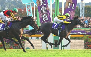 Masquerade Ball is a likely QE II Cup starter at Sha Tin next month. Photo: JRA