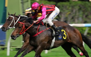 Symbol Of Strength and Luke Ferraris triumph at Happy Valley. Photos: Kenneth Chan