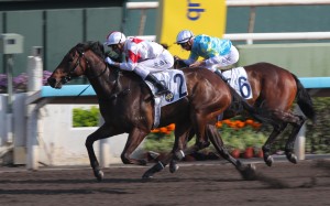 Magnifique and James Orman win a strong Class Three at Sha Tin. Photos: Kenneth Chan