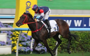 Matthew Poon guides the unbeaten Salon S to victory at Sha Tin. Photos: Kenneth Chan