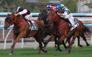 Andrea Atzeni and Young Champion win at Sha Tin. Photos: Kenneth Chan