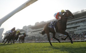 Ka Ying Rising dominates his rivals in the Queen’s Silver Jubilee Cup last start. Photos: Kenneth Chan